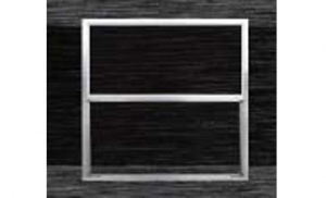 Standard Window