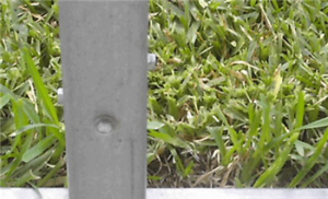Tek Screw